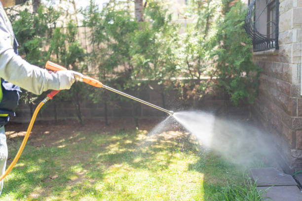 Best Wasp Removal Services  in Provo, UT