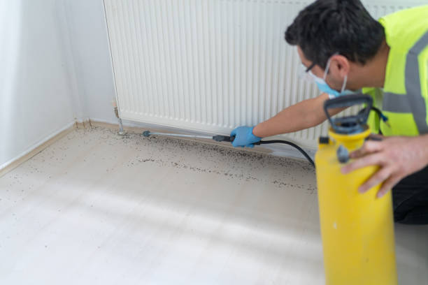 Professional Pest Control in Provo, UT